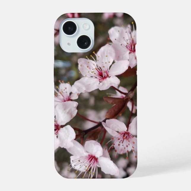 Sakura de primavera (Reverso )