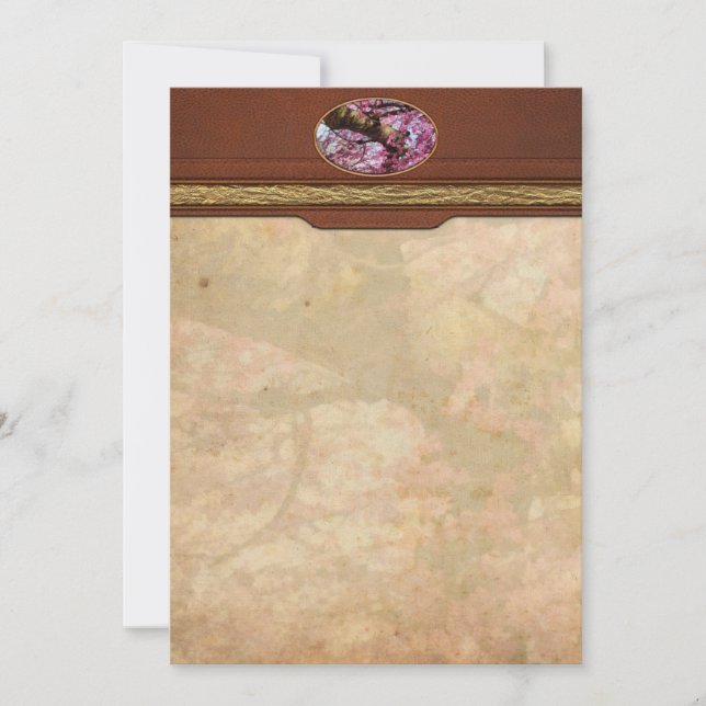 Sakura - Finalmente es primavera (Anverso)