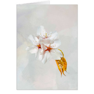 Sakura - Flor japonesa de cerezo