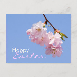 Sakura - Postales de Pascua