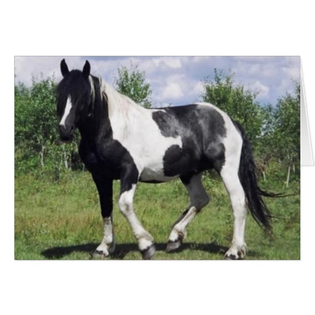 Sal (Anverso (Horizontal))