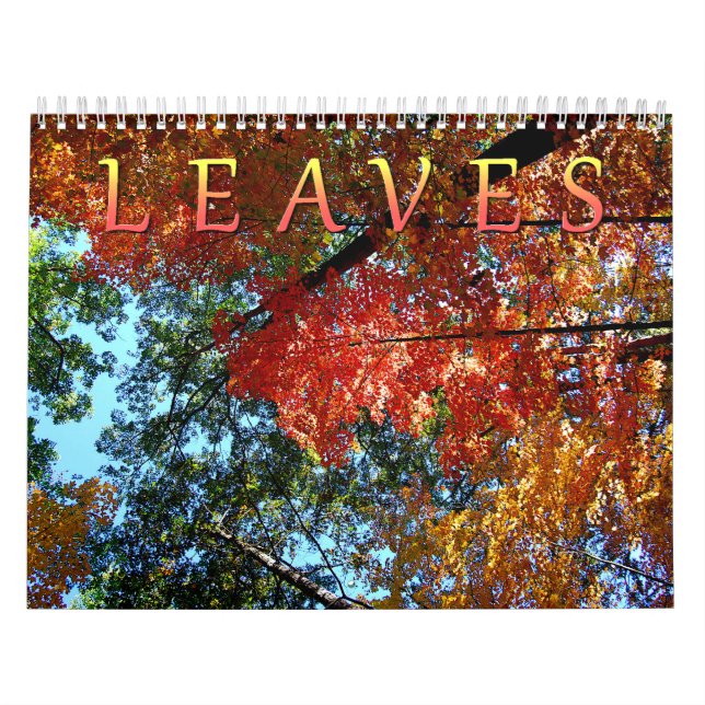 Sale del calendario (Tapa)