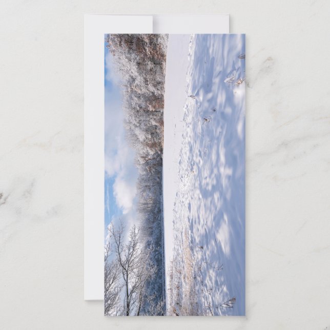 Salem Hills Pond y Forest Winscape (Anverso)