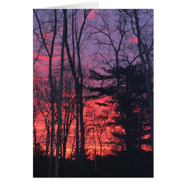 Salida del sol (Frente)