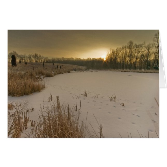 Salida del sol del invierno de Gorman (Anverso (Horizontal))