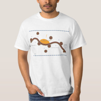 salida del sol, G.Schertz, camisetas