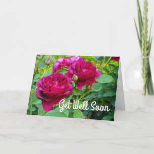 Salir Bien Pronto Darcey Bussell Rosa #2 Tarjeta