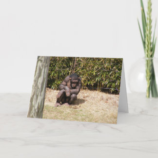 Salir Bien Pronto Tarjeta #1