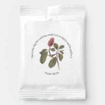 Salmo 118:24 Canada Warbler