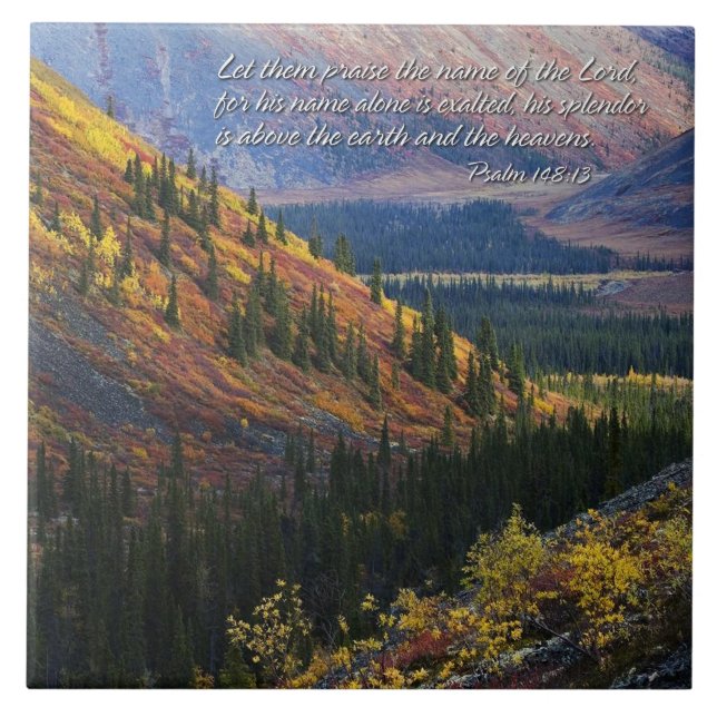 Salmo 148:13 Baldosas (Frente)