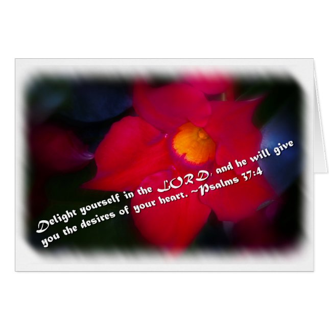 Salmo 37:4 sobre blanco (Anverso (Horizontal))