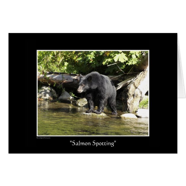 "Salmon Spotting" (Anverso (Horizontal))