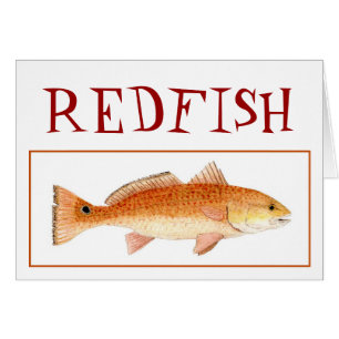 SALMONES