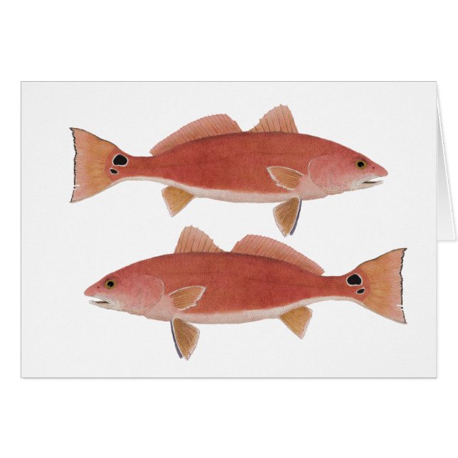 Salmones (Anverso (Horizontal))