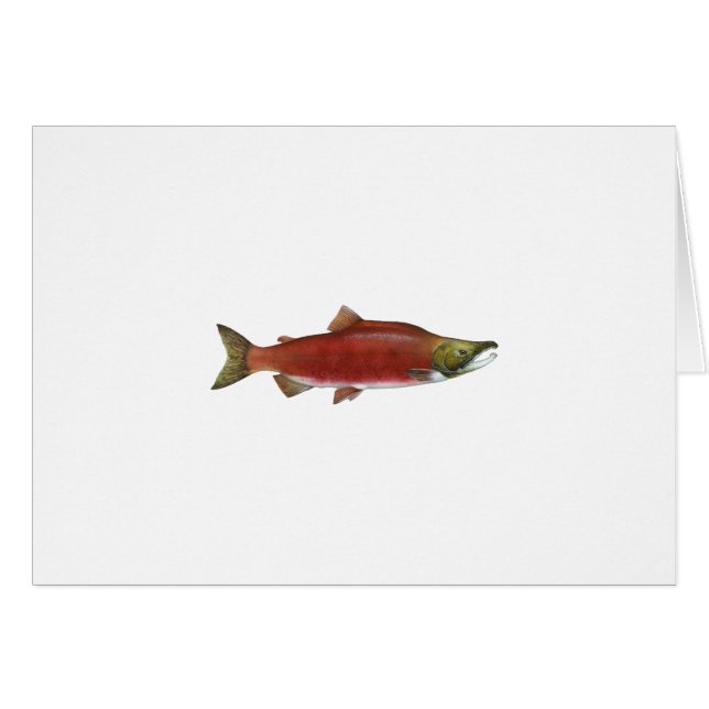 Salmones de Sockeye (Anverso (Horizontal))