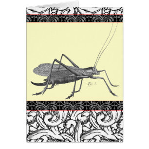 Saltamontes muy elegante de la impresión antigua