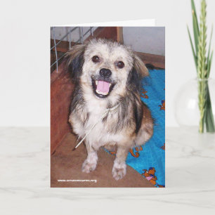 Saltando tarjeta de saludo Jack Flash