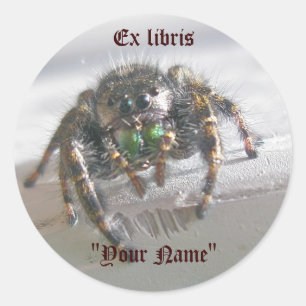 Salticid Jumping Spider Ex Pegatinas libris
