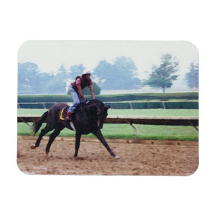 Salto de la mañana - imán de caballo de carreras
