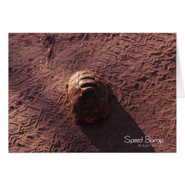 Salto de velocidad (Anverso (Horizontal))