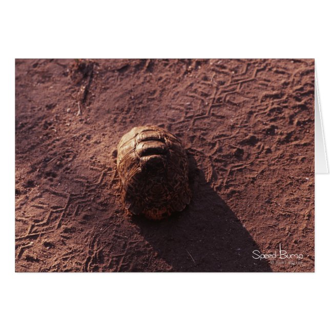 Salto de velocidad (Anverso (Horizontal))