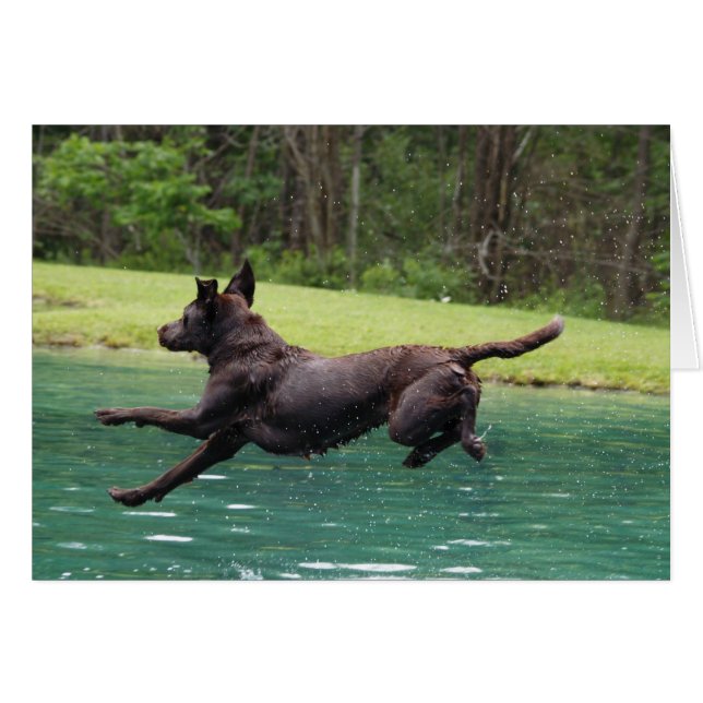 ¡Salto que vuela! (Anverso (Horizontal))