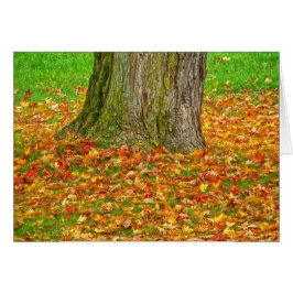 Saltos de otoño alrededor del árbol