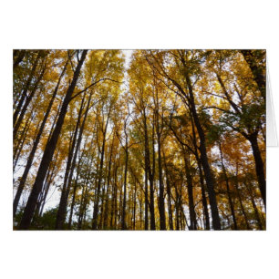 Saltos de otoño en la naturaleza matutina de Maryl