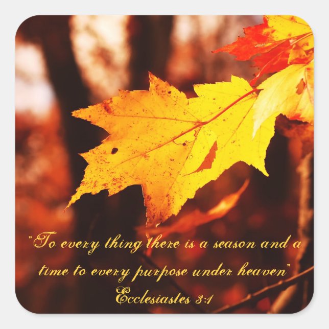 Saltos de otoño en los Pegatinas Poconos (Anverso)