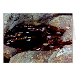 Saltos de otoño en una tarjeta de billar