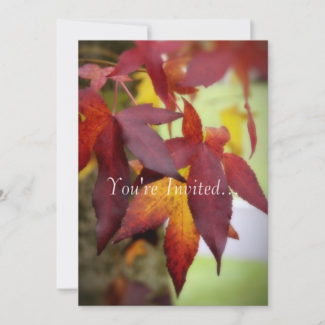 Saltos de otoño... Invitación (Anverso)