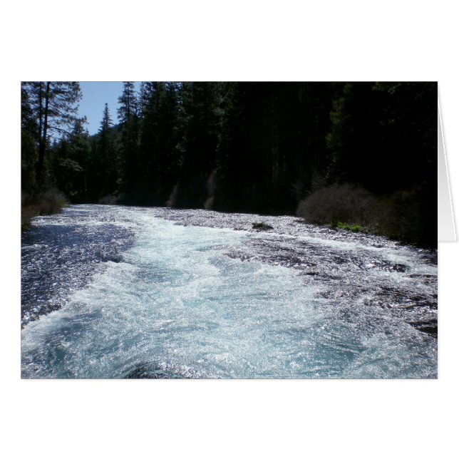 Saltos del asistente (Anverso (Horizontal))