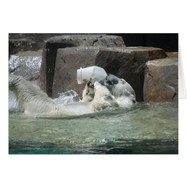 Salud! (Anverso (Horizontal))