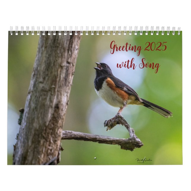 Saludo 2025 con calendario de canciones (Tapa)