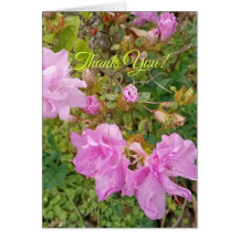 Saludo con flores de lavanda en azalea. Gracias