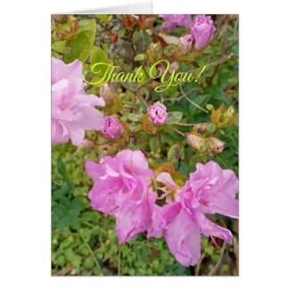 Saludo con flores de lavanda en azalea. Gracias