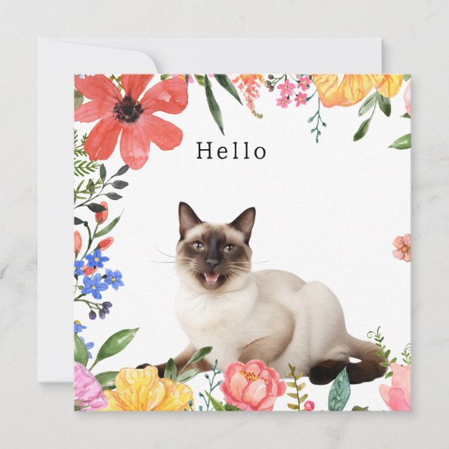Saludo de gato siamés  (Anverso)