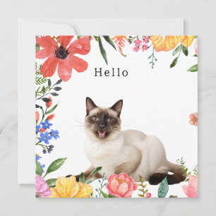 Saludo de gato siamés