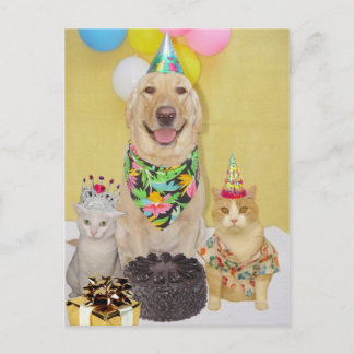 Saludo o invitación de cumpleaños de personalizabl