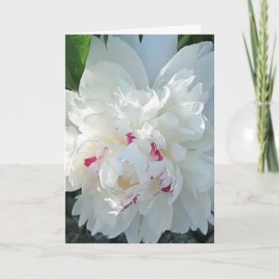 Saludo romántico peony y/o tarjeta de nota