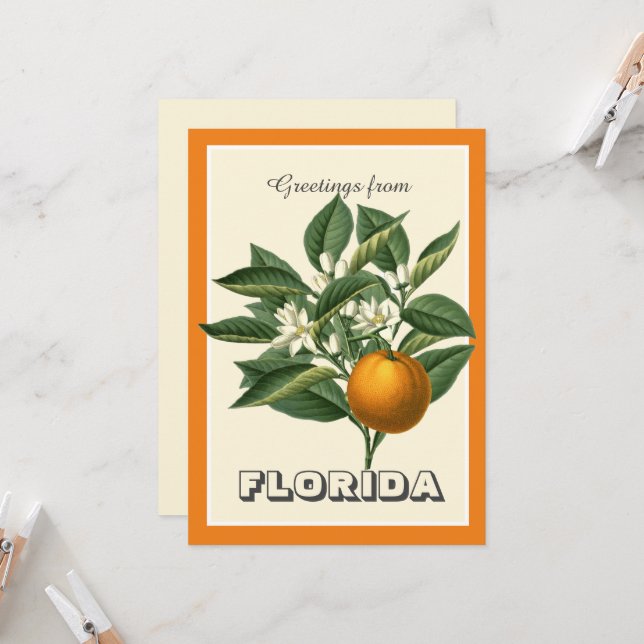 Saludos antiguos de Florida con fruta naranja (Anverso/Reverso In Situ)