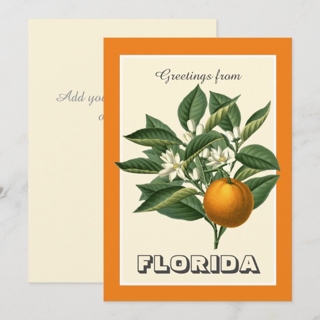 Saludos antiguos de Florida Naranja Fruta  (Anverso / Reverso)