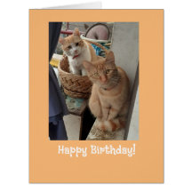 Saludos de cumpleaños Ginger Cats