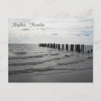 Saludos de Florida postal tarjeta postal