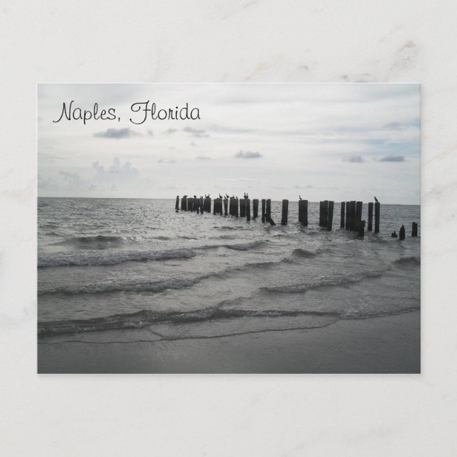 Saludos de Florida postal tarjeta postal (Anverso)