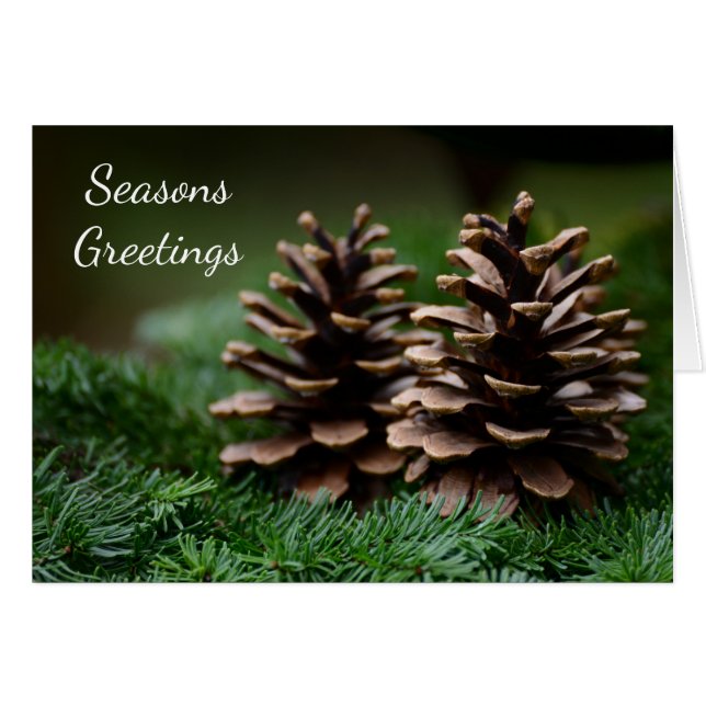 Saludos de Pine Cone Seasons (Anverso (Horizontal))