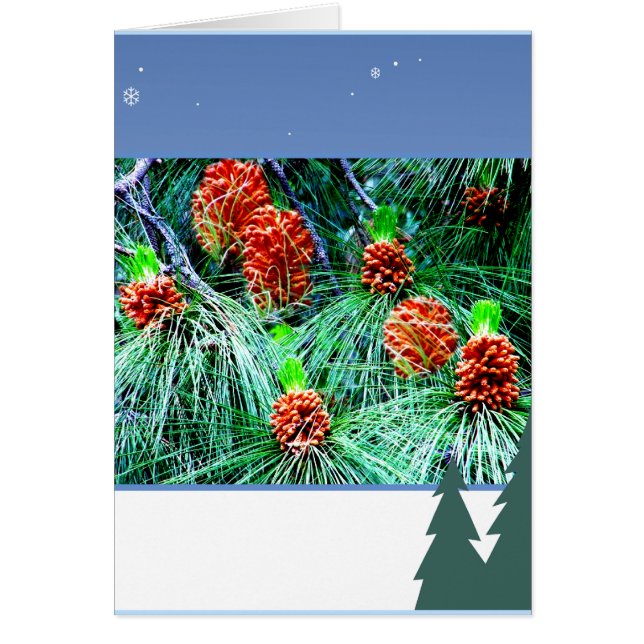 Saludos de temporada_ (Frente)