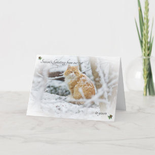 Saludos de temporada de nuestro gato a tu tarjeta