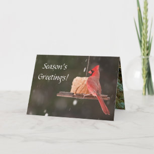 ¡Saludos de temporada! Tarjetas de navidad