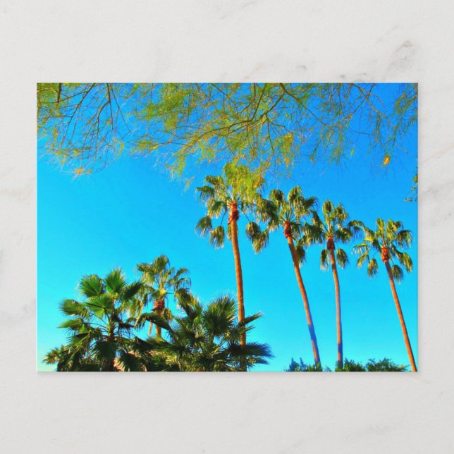 Saludos desde Arizona! Tarjeta postal. (Anverso)